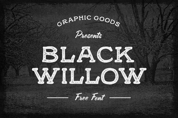 Black Willow шрифт скачать бесплатно