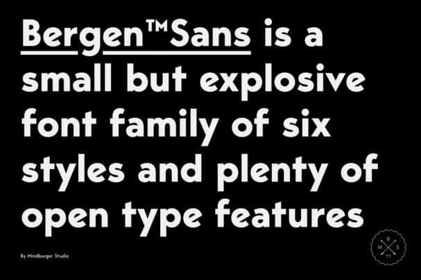 Bergen Sans шрифт скачать бесплатно