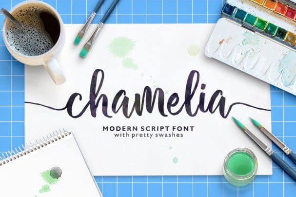 Chamelia Script шрифт скачать бесплатно