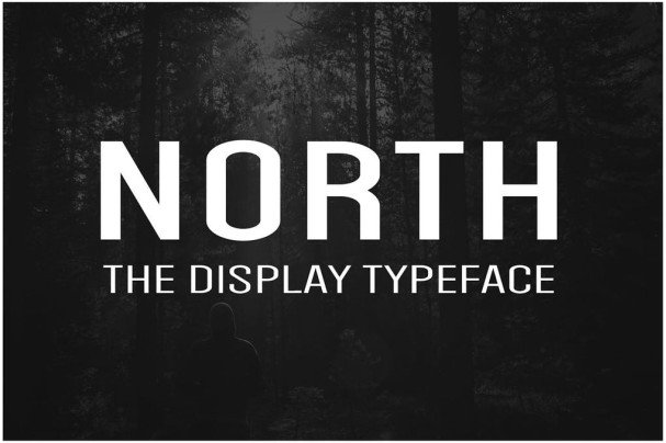 NORTH - Display Typeface + Web  s шрифт скачать бесплатно