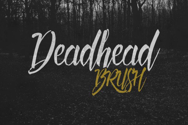 Deadhead Brush шрифт скачать бесплатно
