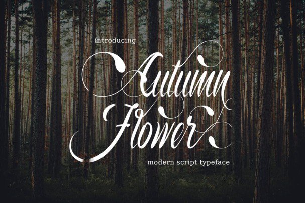 Autumn Flower Typeface шрифт скачать бесплатно