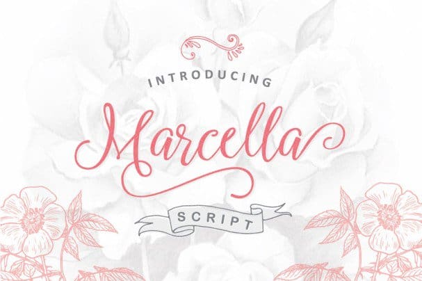 Marcella Script шрифт скачать бесплатно