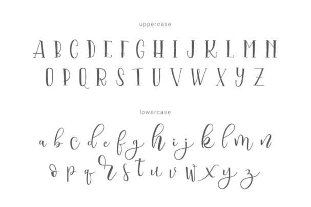 Serangkai Typeface шрифт скачать бесплатно