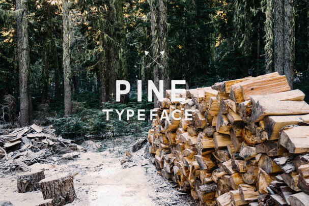 Pine   шрифт скачать бесплатно