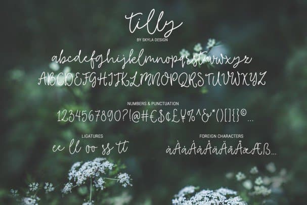 Tilly, a lovely   & bonus clipart шрифт скачать бесплатно