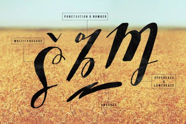 Sottafles Typeface шрифт скачать бесплатно