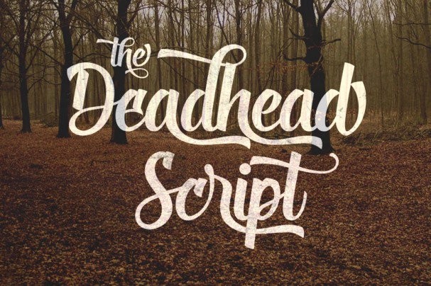 Deadhead Script шрифт скачать бесплатно