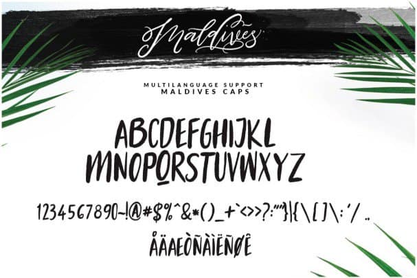 Maldives Script шрифт скачать бесплатно