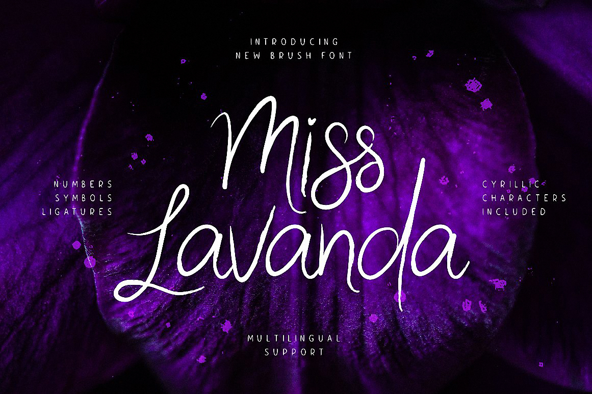 Miss Lavanda