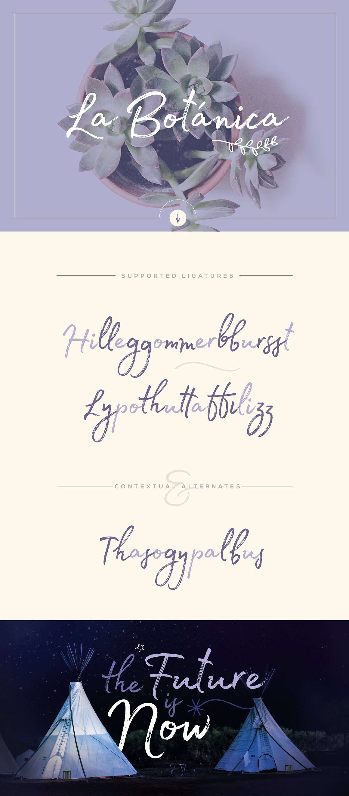 Madelyn Script