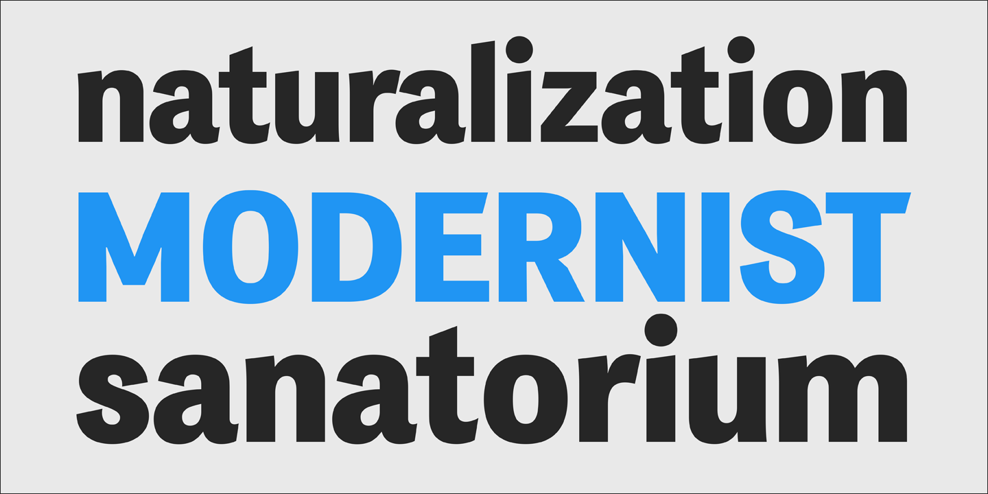 PF Das Grotesk Pro