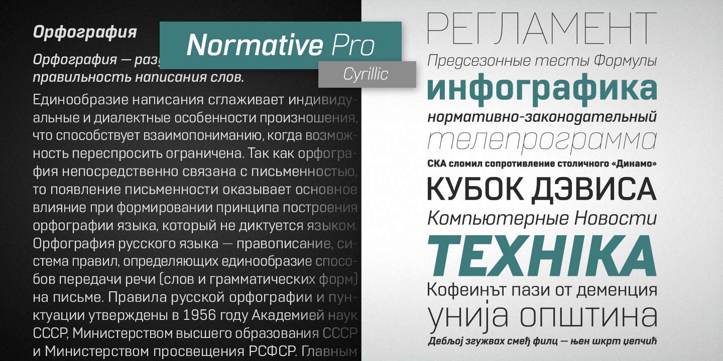 Normative Pro