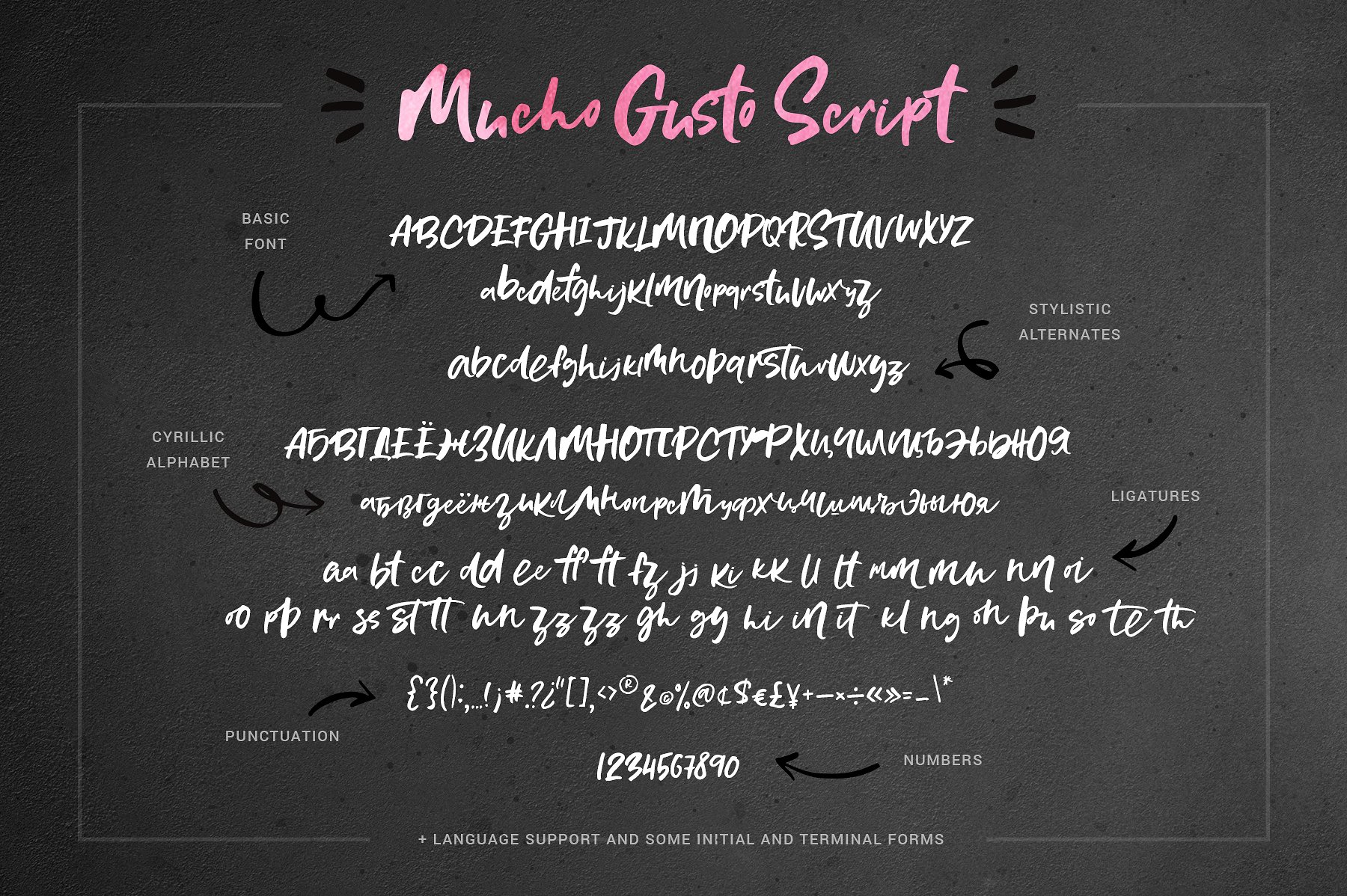 Mucho Gusto Font Family