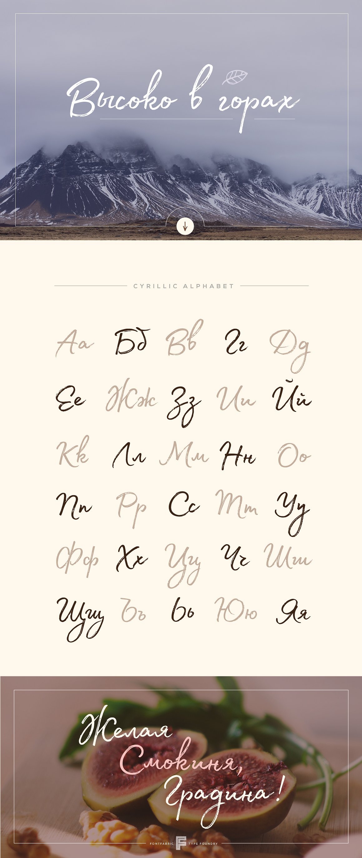 Madelyn Script