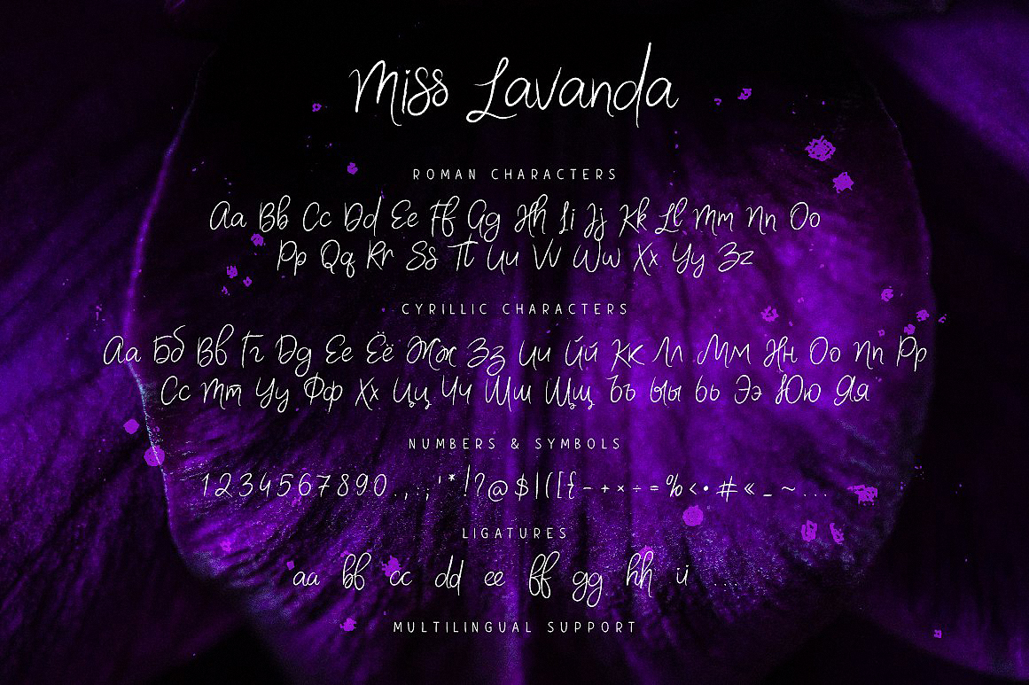 Miss Lavanda