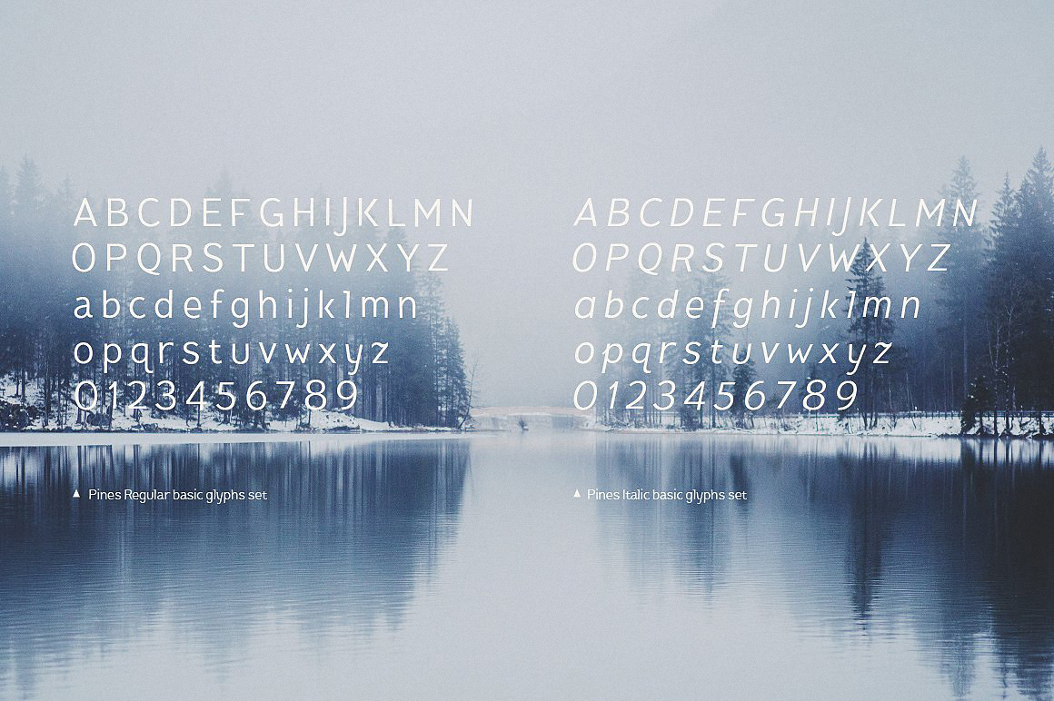 Pines Regular & Pines Italic