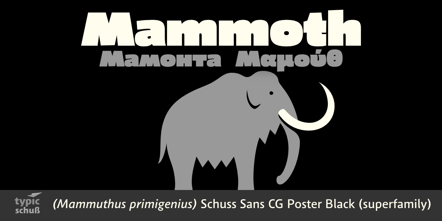 Schuss Sans CG Poster Black