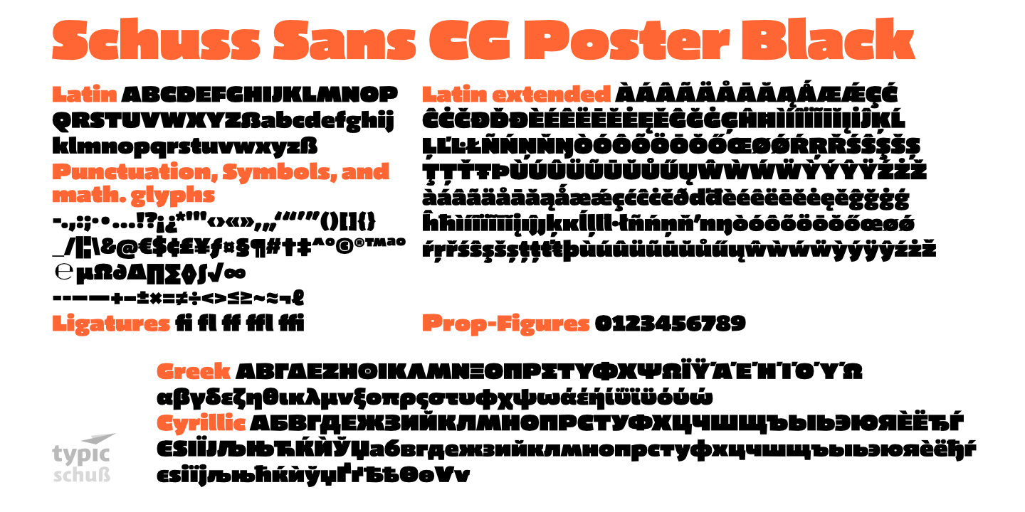 Schuss Sans CG Poster Black