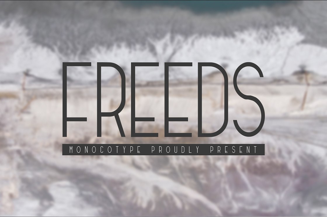 Freeds Modern 