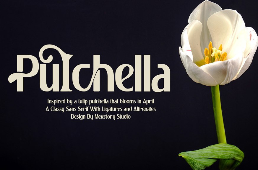 Pulchella Sans Serif 