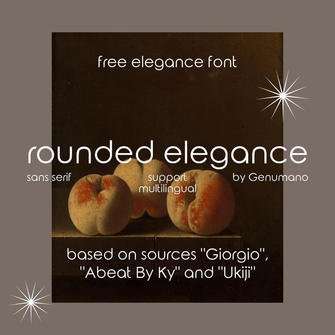 rounded elegance